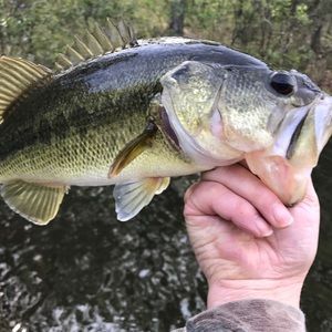 Meet your Posher, Keith